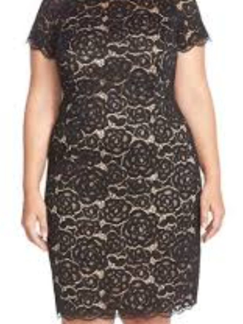 Adrianna Papell Black Lace Midi Dress with Nude Underlay